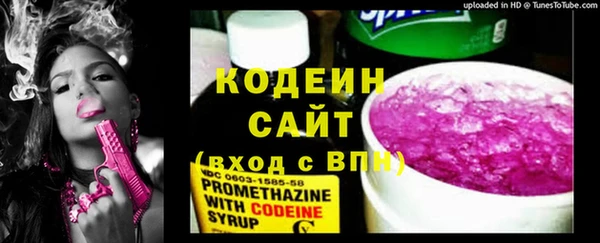 бошки Бородино