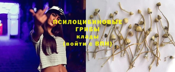 не бодяженный Бронницы