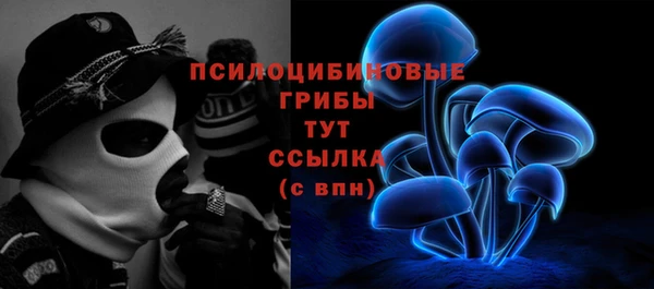 спиды Бугульма