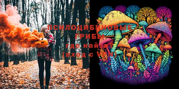 спиды Бугульма