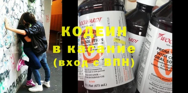 бошки Бородино