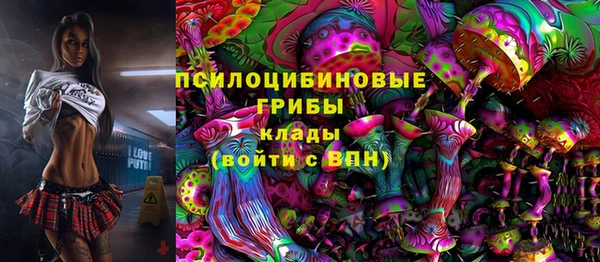 спиды Бугульма
