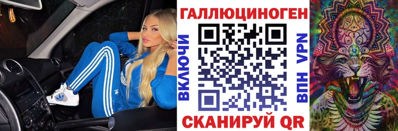 Галлюциногенные грибы Psilocybe  Купить  Черноголовка 